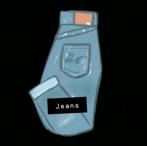 Jeans and pants divider